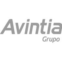 avintia1